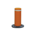 Verkeerscontrolepalen / Bollard